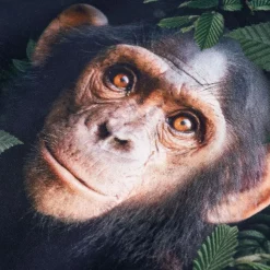 Sweatshirt til børn str. 104 mørk kakifarve