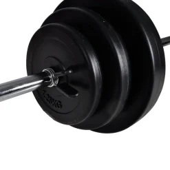 Vægtstang + 2 håndvægte 30,5 kg