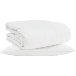 vidaXL 2-i-1 Dyne med pude 2 pcs Hvid Dunfjer