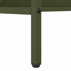 vidaXL Kælvfoderholder Oliven grøn 100 x 60 x 90 cm Koldvalset Stål