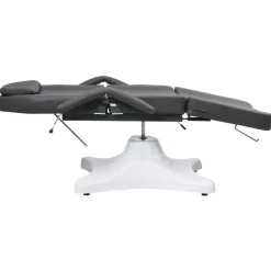 vidaXL massagebord 180x62x(86,5-118) cm grå