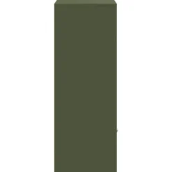 vidaXL Pakke drop boks med opbevaring Olivengrøn 41 x 38 x 103 cm Stål