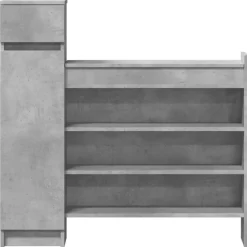 vidaXL skoreol 100,5x28x100 cm konstrueret træ betongrå