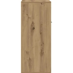 vidaXL skoskab 60x35x84 cm konstrueret træ kunsteg