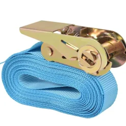 vidaXL surringsbånd med skralde 4 stk. 0,8 ton 6 m x 25 mm blå