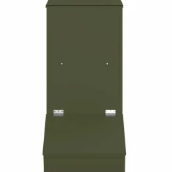 vidaXL Svinefeeder Oliven grøn 55 x 38 x 76 cm Koldvalset Stål