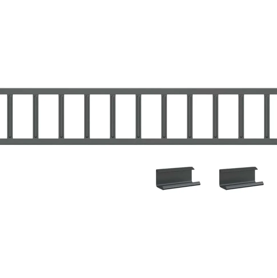 vidaXL Tag snefang Antracit 100 x 2,5 x 20 cm Stål