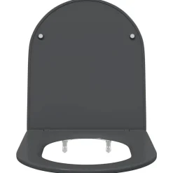 vidaXL Toilet sæde Antracit 47 x 36 x 3,4 cm Duroplast