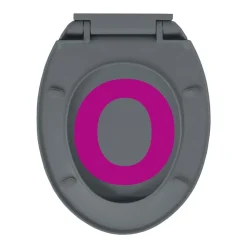 vidaXL toiletsæde med soft close og quick release-funktion oval grå