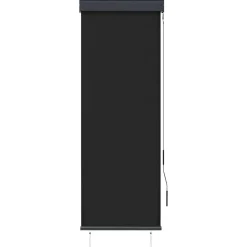 vidaXL udendørs rullegardin 60x250 cm antracitgrå