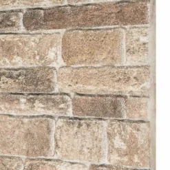 vidaXL Vægpaneler 10 pcs Flerfarvet 100 x 50 cm EPS Skum