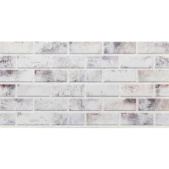 vidaXL Vægpaneler 10 pcs Lys grå og sort 100 x 50 cm EPS Skum