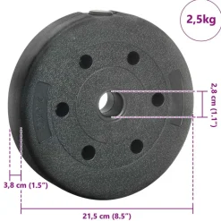 vidaXL Vægtplader 10 kg 4 pcs 10kg Sort Cement og jernsand