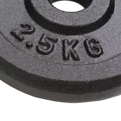 vidaXL vægtplader 8 stk. 8x2,5 kg støbejern