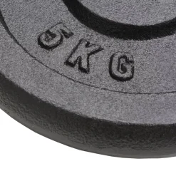 vidaXL vægtplader 4 stk. 4x5 kg støbejern