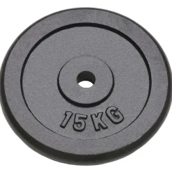 vidaXL vægtplader 2 stk. 2x15 kg støbejern