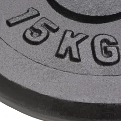 vidaXL vægtplader 2 stk. 2x15 kg støbejern
