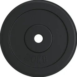 vidaXL vægtskive 20 kg støbejern