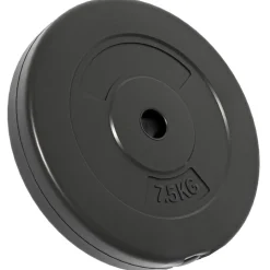 vidaXL vægtskiver 6 stk. 30 kg cement