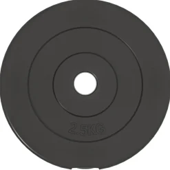 vidaXL vægtskiver 6 stk. 30 kg cement
