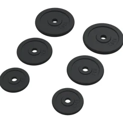vidaXL vægtskiver 6 stk. 30 kg støbejern