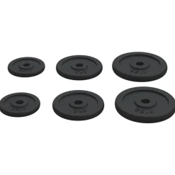 vidaXL vægtskiver 6 stk. 30 kg støbejern