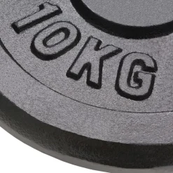 vidaXL vægtskiver 2 stk. 2x10 kg støbejern