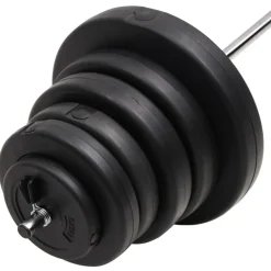 vidaXL vægtstang med skiver 90 kg