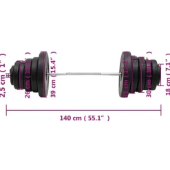 vidaXL vægtstang med skiver 90 kg