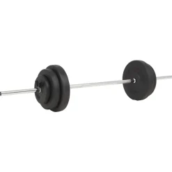 vidaXL vægtstang med skiver 60 kg