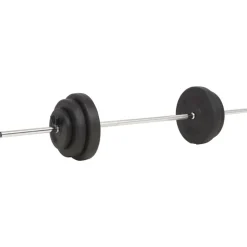 vidaXL vægtstangssæt 30 kg
