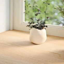 vidaXL vindueskarme 2 stk ubehandlet 70x15x2 cm massivt egetræ